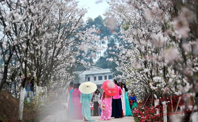 泸州首个“天府旅游名县”：江阳！(图18)