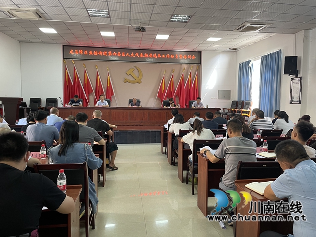 龙马潭区鱼塘街道召开第六届龙马潭区人大代表换届选举工作动员暨培训会(图1)