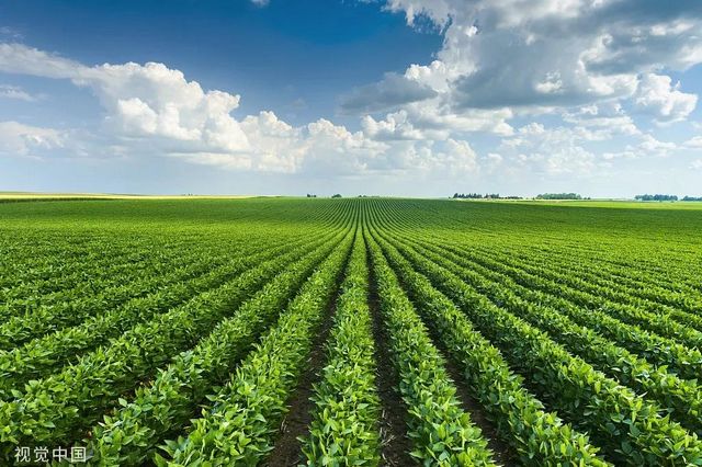 十月新规，来了！(图6)