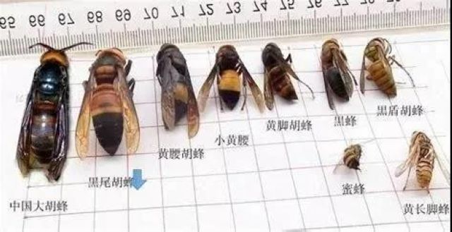 13人惨遭意外袭击，如果你遇到了要这样自救(图5)