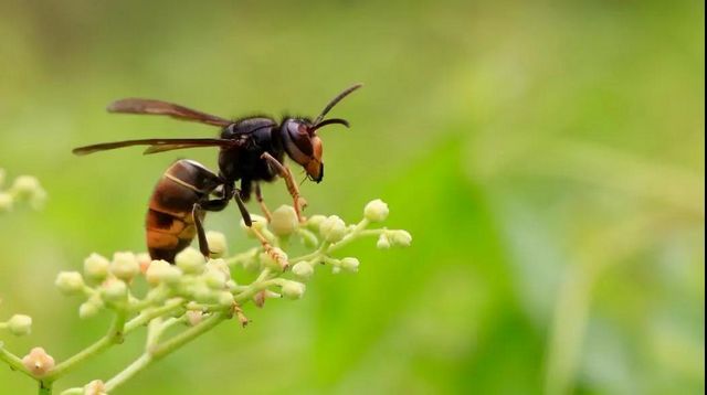 13人惨遭意外袭击，如果你遇到了要这样自救(图7)