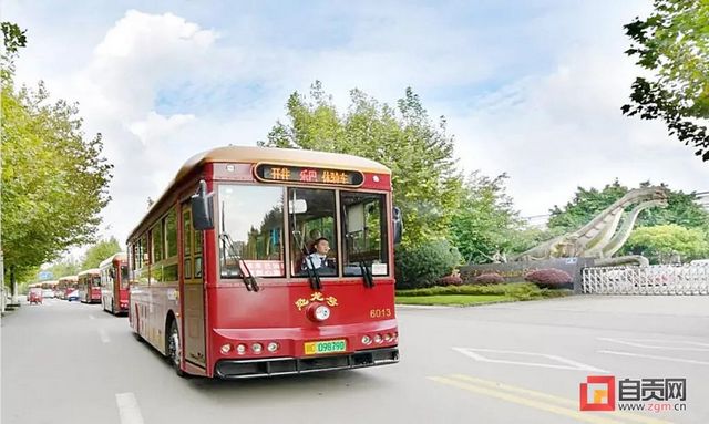 第二十七届自贡灯会闭幕倒计时！观灯攻略必看(图6)