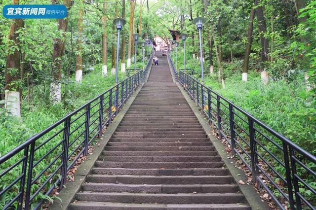 宜宾这3座山，绝了！(图3)