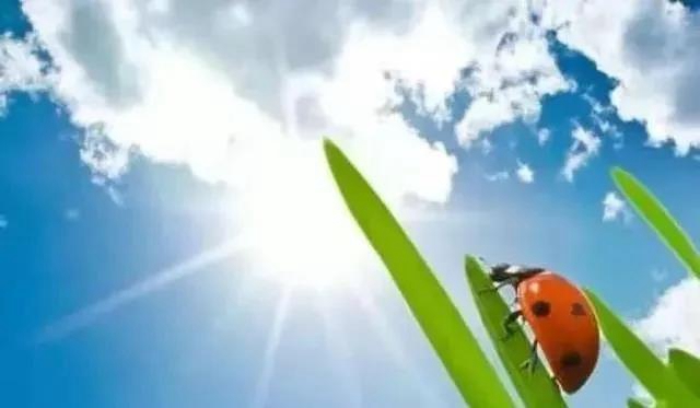 热热热！泸州晴热晒不减， 出去游玩注意防暑防晒(图1)