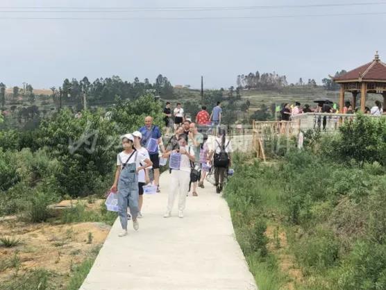 “火”而不乱！国庆假期前三天内江迎客超34万人次(图4)