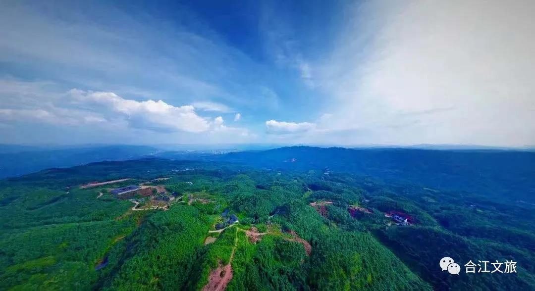 合江福宝玉兰山风景区图片