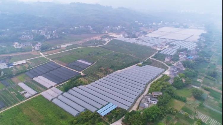 国庆长假去哪玩？纳溪这些地方很不错哦(图21)