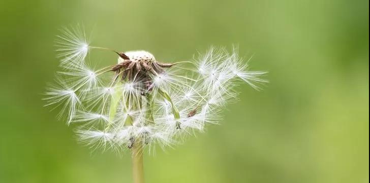 【扩散】88岁老奶奶下体掉了块“肉”?(图2) 【扩散】88岁老奶奶下体掉了块“肉”?(图2)