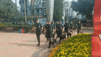 国庆第五日，泸州警队“清奇”兵首秀(图10)