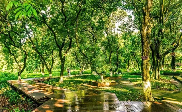 国庆期间泸州21家A级景区接待游客77.47万人次,同比增长23.4%(图10) 国庆期间泸州21家A级景区接待游客77.47万人次,同比增长23.4%(图10)