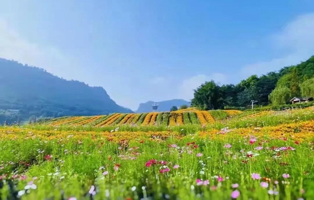 国庆期间泸州21家A级景区接待游客77.47万人次,同比增长23.4%(图12) 国庆期间泸州21家A级景区接待游客77.47万人次,同比增长23.4%(图12)