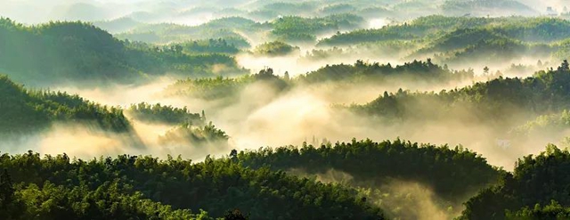 川南四市公布国庆旅游数据！看看你的家乡是多少？(图4)