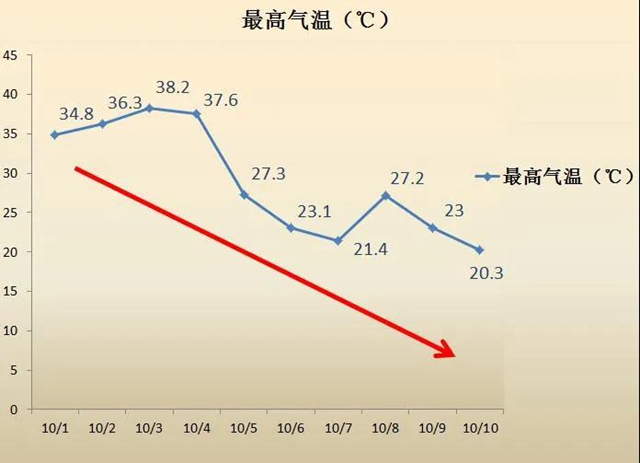 猝不及防，酒城遭遇“梭梭板”式降温！(图1)