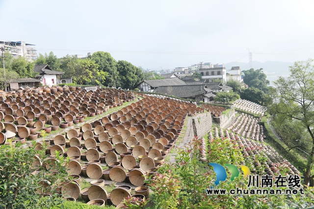 【启航新征程】这五年，合江民生福祉持续增进(图4)