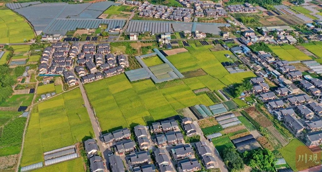 最高一次性补助6000万！乡村振兴干得好，四川年年有奖！(图1)