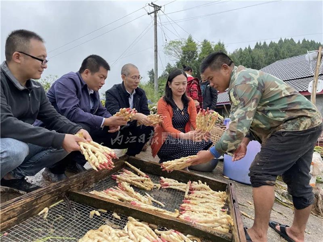 嘿！内江这群人把办公室“搬”到了田坎上(图2)