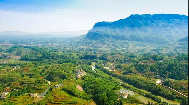 宜宾乡村振兴，底气十“竹”(图5)