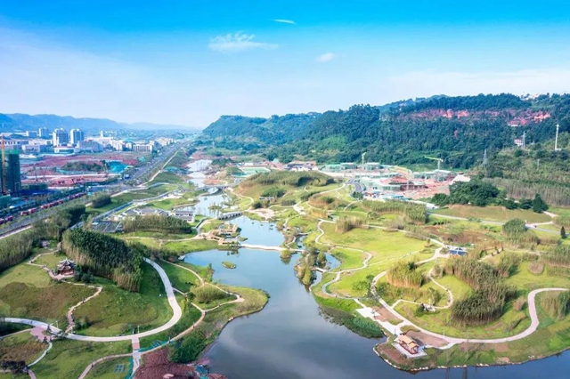 宜宾乡村振兴，底气十“竹”(图4)