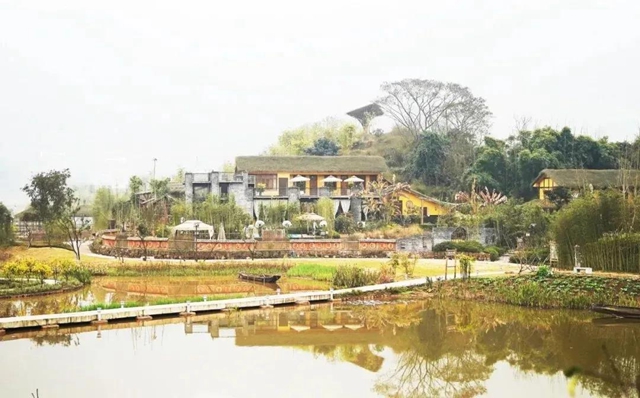 宜宾乡村振兴，底气十“竹”(图7)