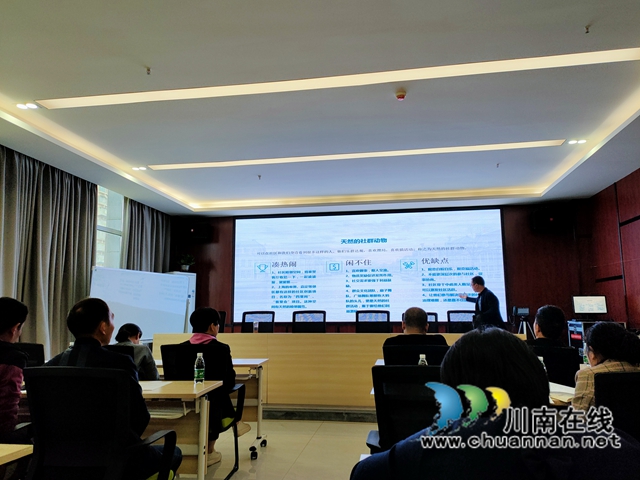 龙马潭区鱼塘街道望山坪社区举办“如何让社区动起来”社区治理培训会(图1)