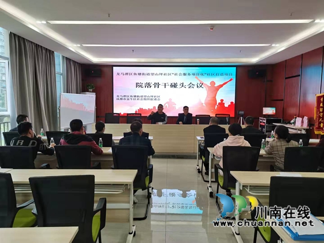 龙马潭区鱼塘街道望山坪社区召开“社区服务项目化”院落骨干碰头会议(图1)