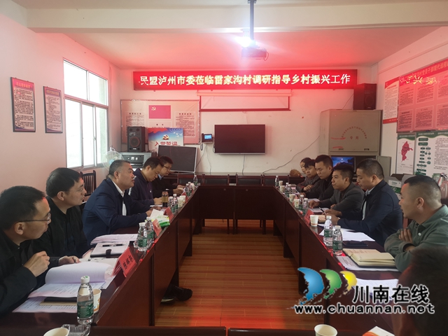 民盟泸州市委：持续推进路灯捐赠，照亮乡村振兴幸福路(图3)