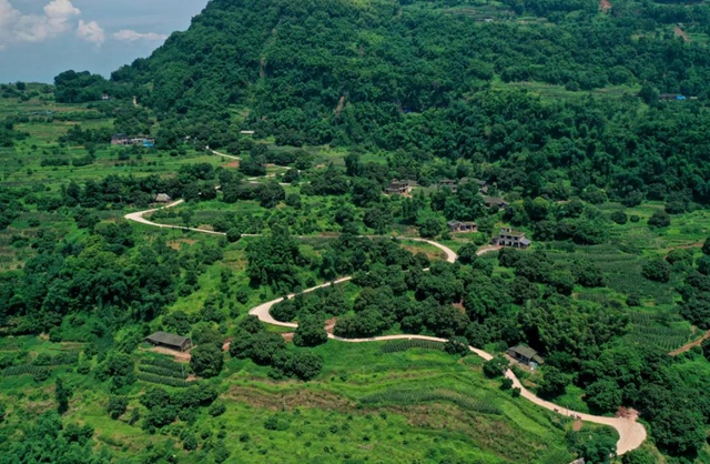 合江荔枝国家地理标志保护示范区获批筹建(图4) 合江荔枝国家地理标志保护示范区获批筹建(图4)