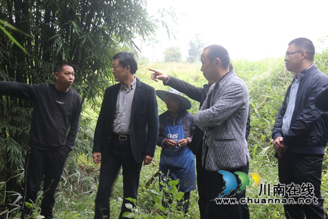 朱大清率队到泸县百和镇督导大鹿溪河长制工作(图1)