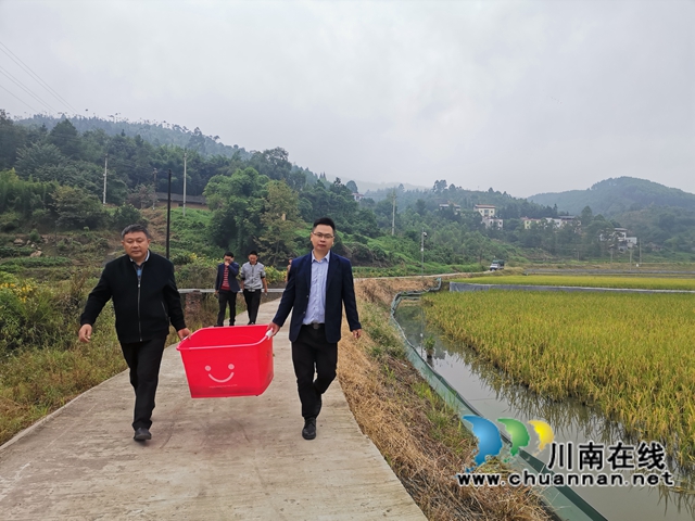 泸县:稻熟蟹肥人欢笑(图2) 泸县:稻熟蟹肥人欢笑(图2)