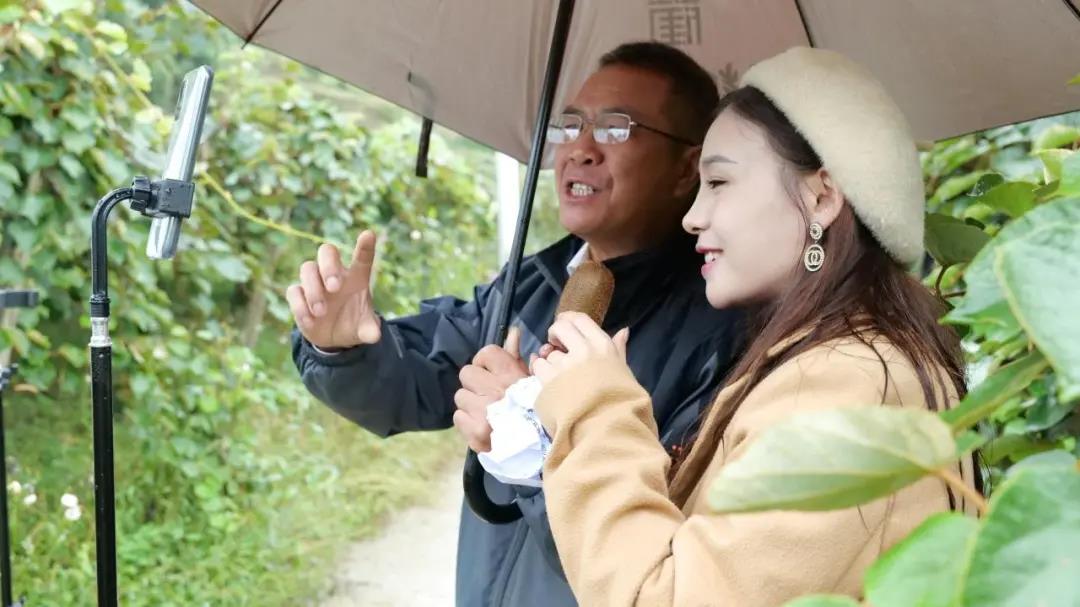 大山里搭起“直播间” !古蔺东新万亩猕猴桃乘上直播快车(图6) 大山里搭起“直播间” !古蔺东新万亩猕猴桃乘上直播快车(图6)