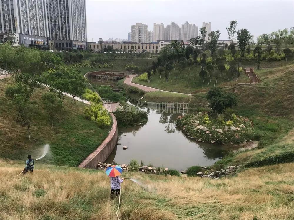 关注！内江成功入选2021年首批省级城市体检试点城市(图2)