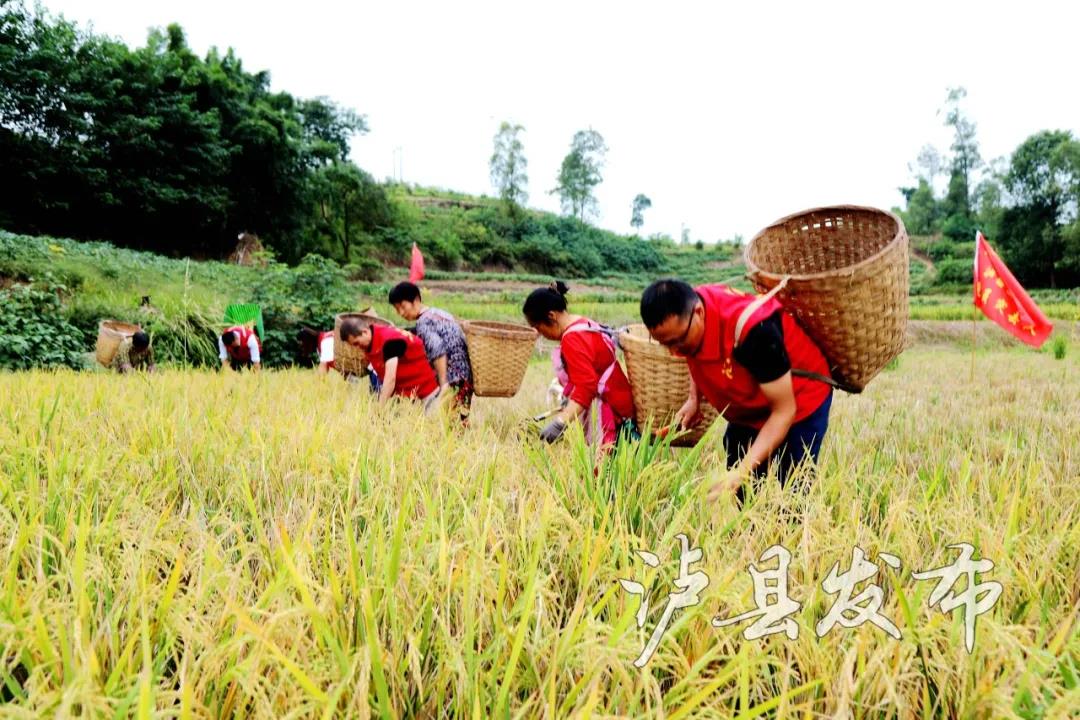 温暖！30张照片定格抗震救灾感人瞬间(图26)