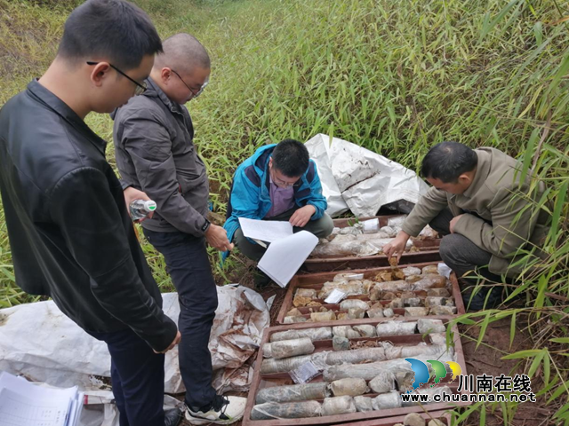 泸县地质灾害风险调查评价野外工作顺利通过专家组验收(图1)