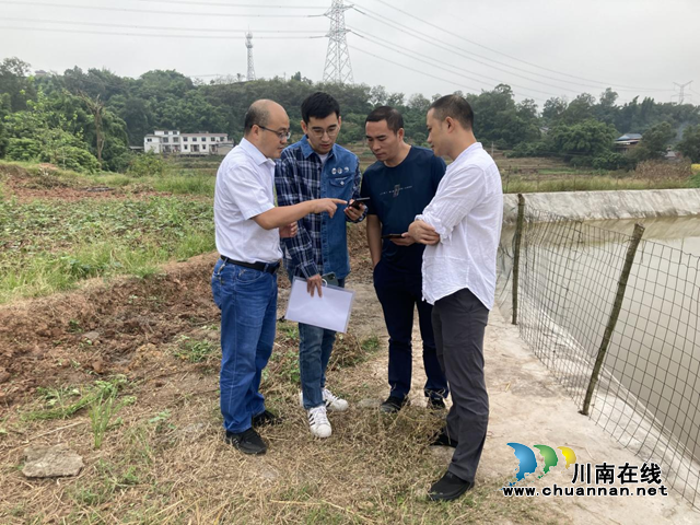 泸县自然资源和规划局完成耕地卫片监督图斑核查工作(图1)