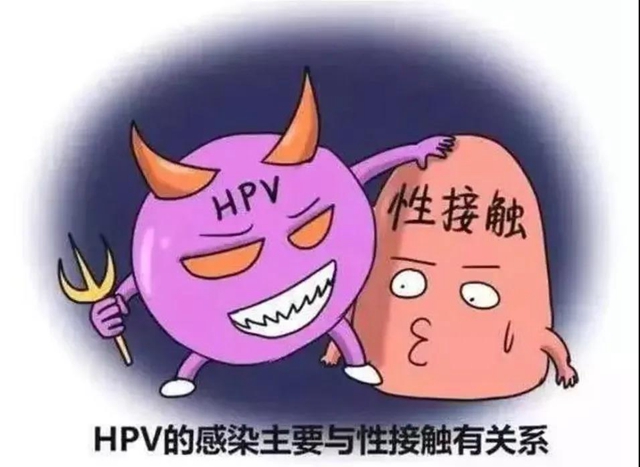 【扩散】感染了HPV病毒，就是得了宫颈癌？(图4)