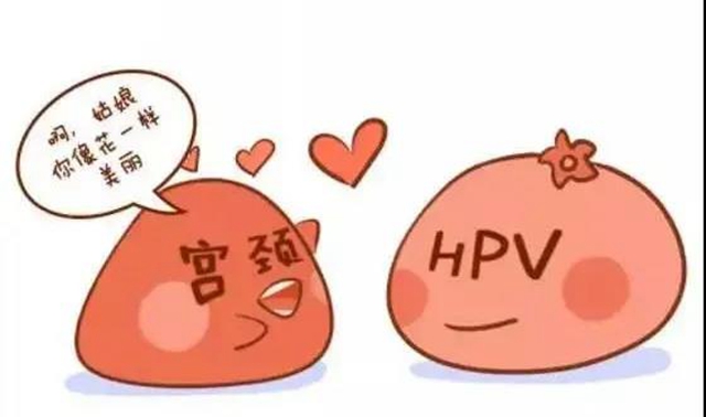 【扩散】感染了HPV病毒，就是得了宫颈癌？(图5)