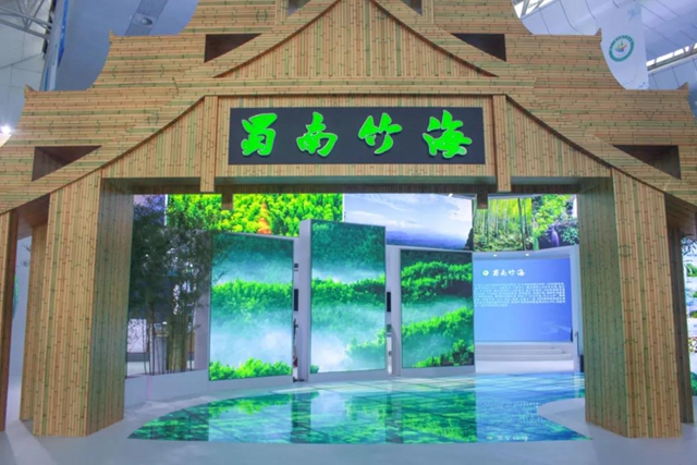 第十一届中国竹文化节在宜宾开幕(图6)