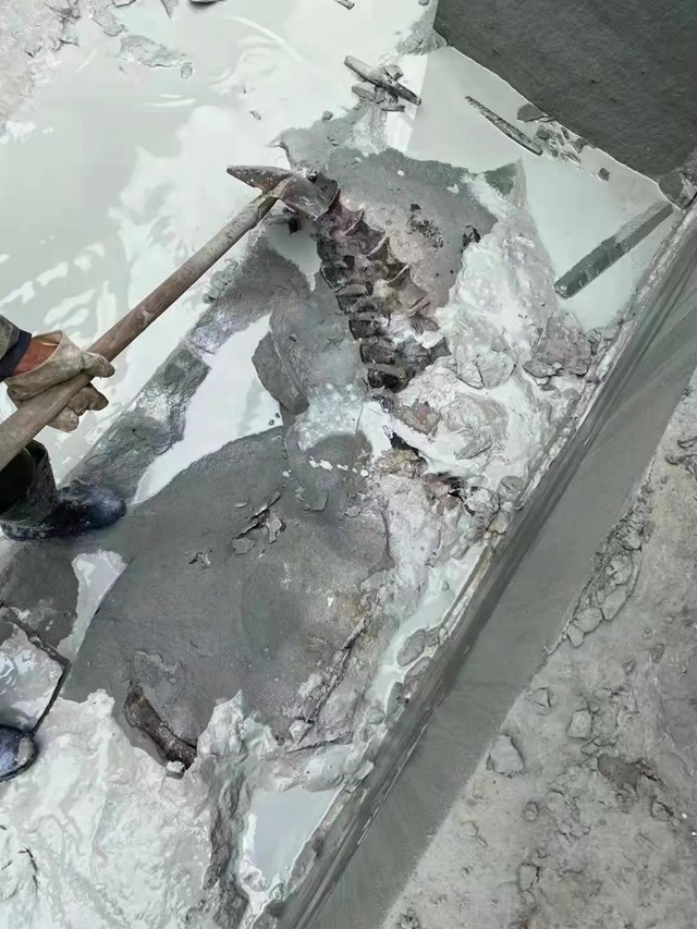 恐龙?还是……隆昌这里一工地挖出巨型骨骼化石(图1) 恐龙?还是……隆昌这里一工地挖出巨型骨骼化石(图1)