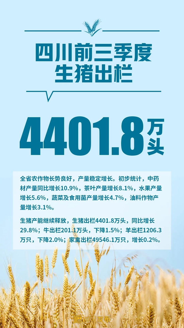 增长9.3%!2021年前三季度四川经济“报表”出炉(图2) 增长9.3%!2021年前三季度四川经济“报表”出炉(图2)