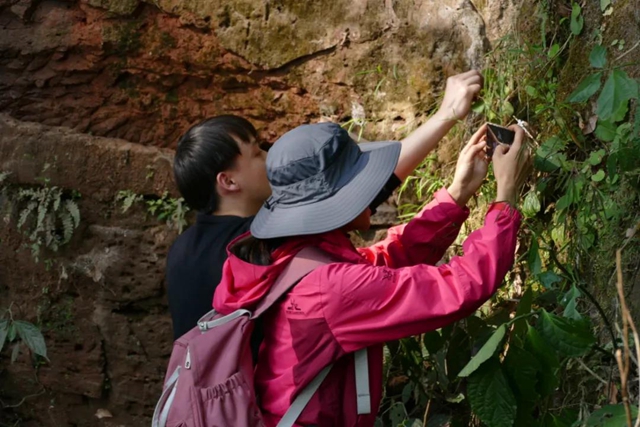 泸州：摸家底，保护野生植物多样性(图2)