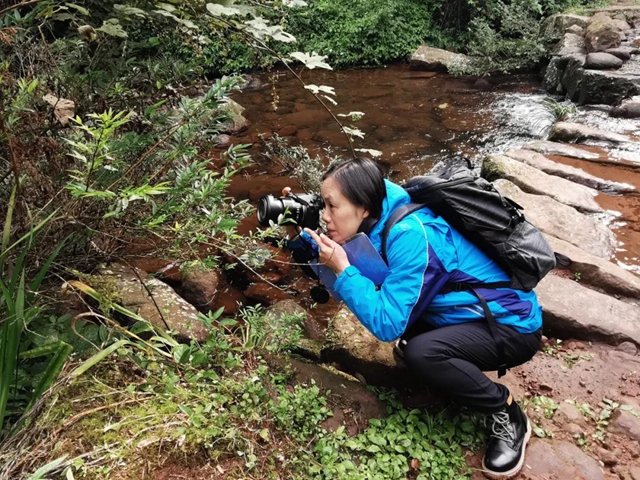 泸州：摸家底，保护野生植物多样性(图3)