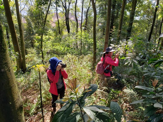 泸州：摸家底，保护野生植物多样性(图1)