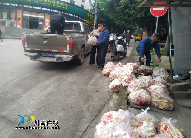 泸县建筑业协会成员认购滞销生姜  爱心接力助姜农破解"姜局"(图4)