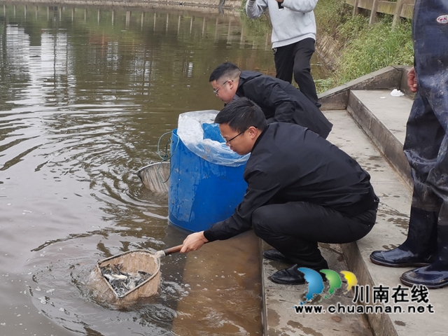 泸县百和镇持续开展大鹿溪生态浮岛建设项目(图3)