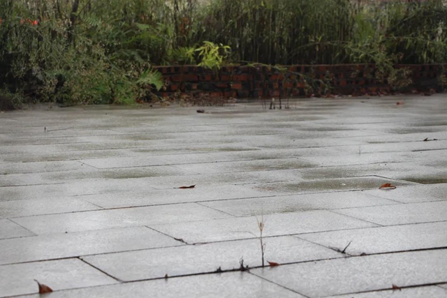 江阳法院邀请人大代表参与勘验现场，让司法鉴定在阳光下进行(图10)