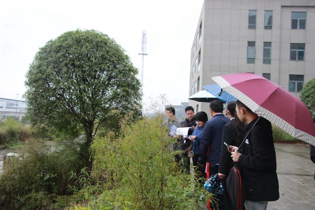 江阳法院邀请人大代表参与勘验现场，让司法鉴定在阳光下进行(图7)