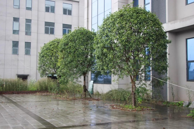 江阳法院邀请人大代表参与勘验现场，让司法鉴定在阳光下进行(图8)