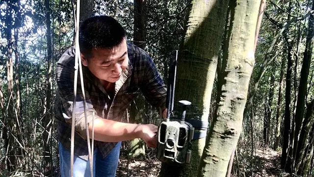 “熊出没”“四不像”，还有这些珍稀动物出镜！泸州有个天然“动物园”(图6)