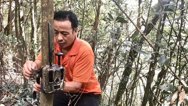 “熊出没”“四不像”，还有这些珍稀动物出镜！泸州有个天然“动物园”(图7)