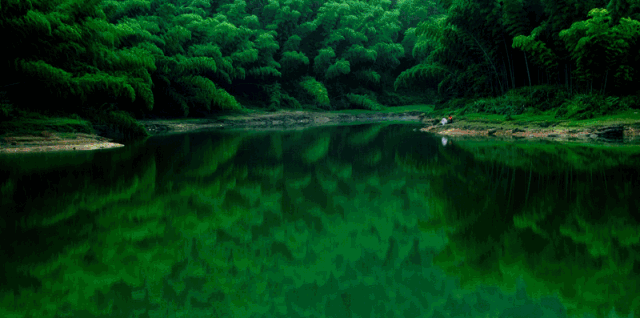 宜宾:打造中华竹都,竹林风景线带来“绿金”248亿元(图1) 宜宾:打造中华竹都,竹林风景线带来“绿金”248亿元(图1)